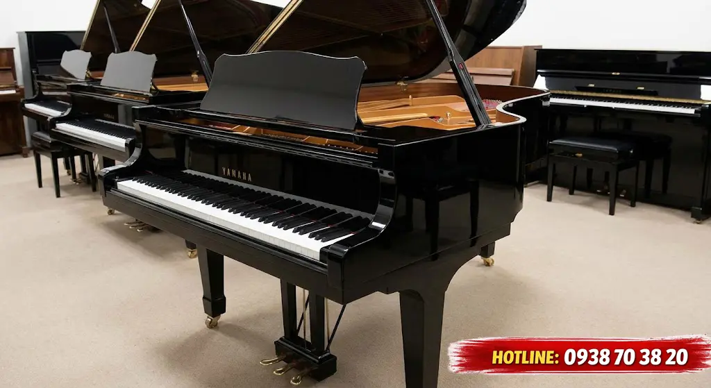 Thu mua grand piano Yamaha